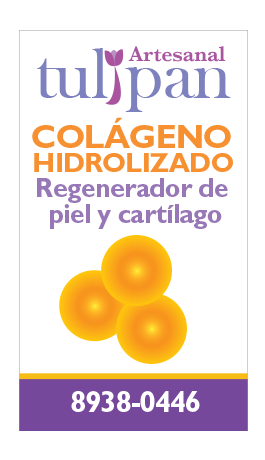 Productos Tulipan