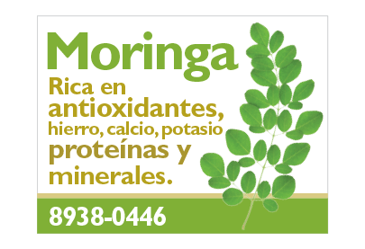 Productos Tulipan